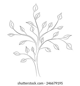 sketch of a tree on a white background 