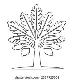 Esboço da árvore sobre fundo branco