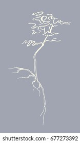 Sketch of a tree with roots