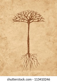 Sketch tree with roots on old grunge paper