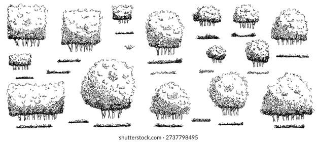 Sketch tree  shrubbery