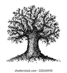 Sketch of a tree. Sketched tree.