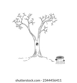 Sketch of tree and stump