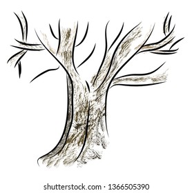 Sketch of a tree vector or color illustration