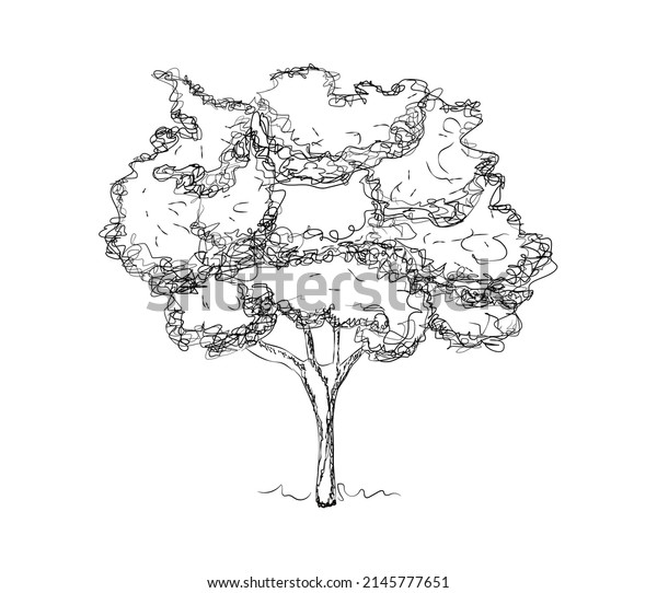 Sketch Tree Vector Image Isolated Black Stock Vector (Royalty Free ...