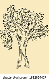 Sketch of tree. Vector one tree on a brown background, retro style. Simple freehand drawing, isolated object.