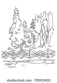 Sketch of trees behind a fence