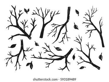 Sketch of trees branches on the white background using brush pen. Different black twigs.