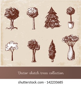 Sketch trees collection. Hand-drawn in vintage style. Vector illustration.