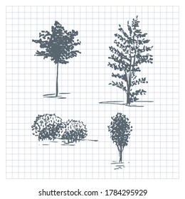 Sketch trees. Set of hand drawn silhouettes trees. Vector illustration isolated on checkered background.