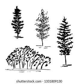 Sketch trees, set of hands drawn silhouette trees, vector illustration isolated on white background
