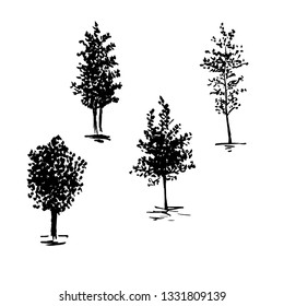 Sketch trees, set of hands drawn silhouette trees, vector illustration isolated on white background