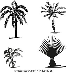Sketch trees Vector Collection. Tropical trees sketch design. 