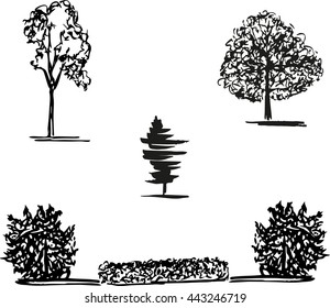 Sketch trees Vector Collection. Tropical trees sketch design. 
