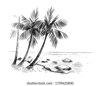 Die Skizze eines tropischen Strandes mit Palmen und dem Meer. Handgezogene Illistration in Vektorgrafik umgewandelt