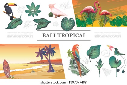 Sketch tropical elements composition with toucan flamingo macaw cockatoo hummingbird beautiful leaves plants and Bali beach vector illustration