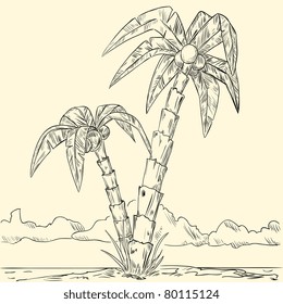 Sketch of tropical palm on island in ocean. Vector illustration.