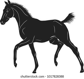 Sketch of a trotting foal.