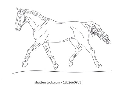 A sketch of a trotting horse.