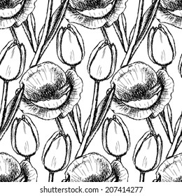 Sketch tulip and poppy, background in vintage style 