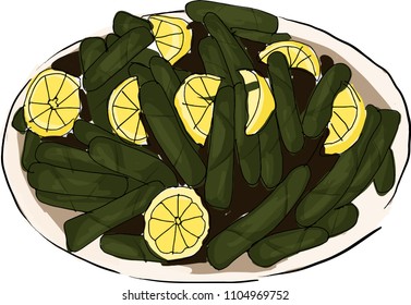 sketch turkish food Dolma Sarma. Vector