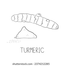 Sketch Turmeric Simple Vector Illustration in Doodle Style