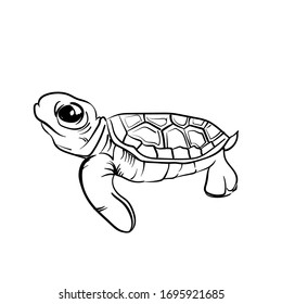 sketch of a turtle looking up