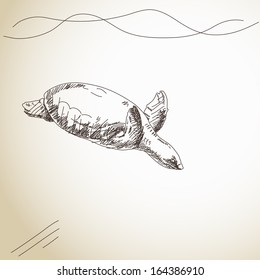 Esbozo de la ilustración del vector de tortugas