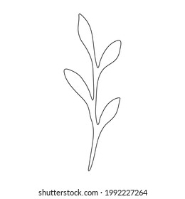 Esbozo de una rama de una planta con hojas. Elemento vector para el diseño.