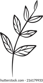 sketch twigs. Hand drawn vector floral elements.