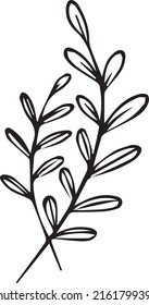 sketch twigs. Hand drawn vector floral elements.