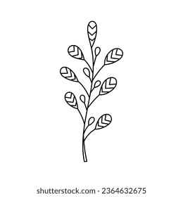 ramas de boceto. Elementos florales vectoriales dibujados a mano