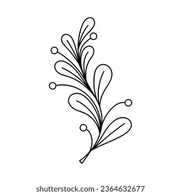 sketch twigs. Hand drawn vector floral elements