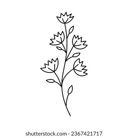 ramas de boceto. Elementos florales vectoriales dibujados a mano