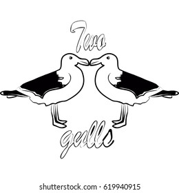 A sketch of two birds of the seagull