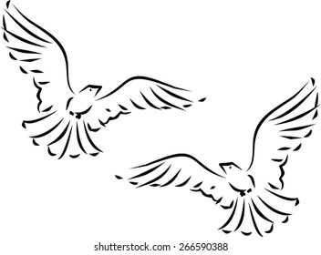 Sketch of two flying dove