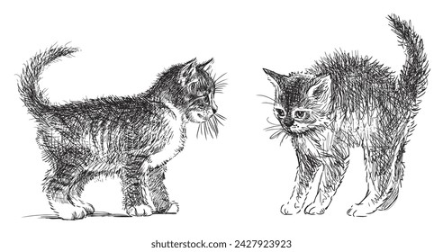 Sketch of two funny little domestic kittens, black and white vector hand drawing isolated on white
