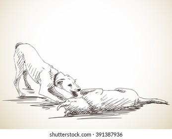 Sketch of two playing dogs. Hand drawn illustration. Isolated