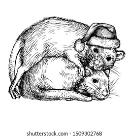 Sketch of two rats in Santa's hat. Couple of rats. Realistic ink engraved rat, mouse. New 2020 Year Symbol 2020