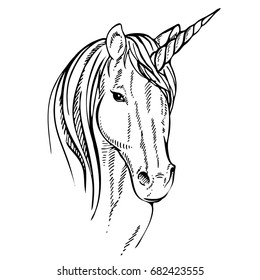 Sketch Unicorn, hand drawn ink illustration.Unicorn horse animal.White mythical horse head with long horn. Mythic symbol of fantasy horse