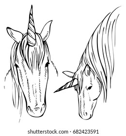 Sketch Unicorn, hand drawn ink illustration.Unicorn horse animal.White mythical horse head with long horn. Mythic symbol of fantasy horse