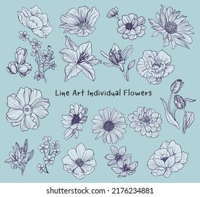 Sketch of variety flowers element set. hand-drawings monochrome with line art vector.