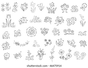 Sketch of various flowers