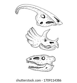 Sketch, vector black and white drawing of a dinosaur skeleton, children's coloring. dinosaur skull