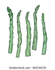 Sketch vector collection of asparagus. Healthy food illustration 
Easy to change colors
