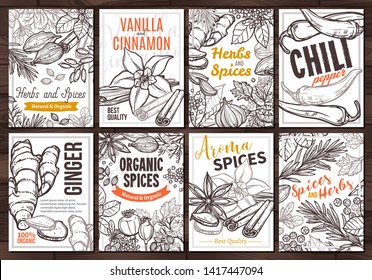 Sketch vector design templates with herbs and spices, hand drawn illustration of ginger, rosemary, mint, vanilla, cinnamon, chili pepper. Set of cards and posters with botanical and floral ingredients