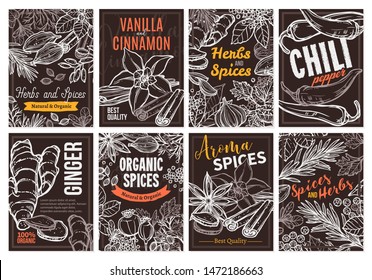 Sketch vector design templates with herbs and spices, hand drawn illustration of ginger, rosemary, mint, vanilla, cinnamon, chili pepper. Set of cards and posters with botanical and floral ingredients