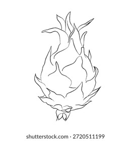 Sketch Vector dragon line art, hand-painting design set, EPS format, outline drawing for dragon drawing, Doodle hand-drawn icon set, outline drawing of dragons branch, outline drawing of dragon, vector design set