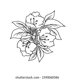 Sketch, vector drawing in black outline. A bouquet of flowers with leaves, petals on white background for the design of spring holidays, cards, stickers, tattoos.