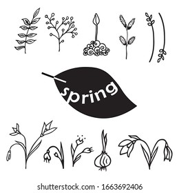 Sketch vector elements on white background for seasonal design, greeting cards, stickers or posters. 
Set of hand drawn spring doodle illustration with flowers and plants. 